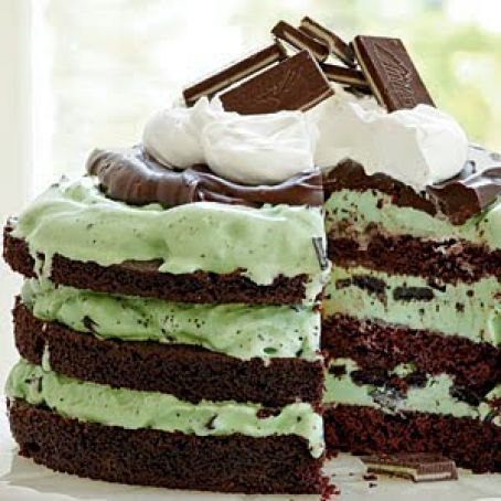 Mint Chocolate Chip Ice Cream Cake